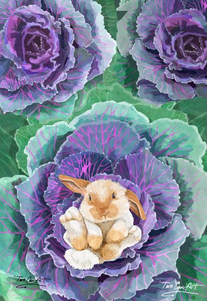 Bunny in Cabbage