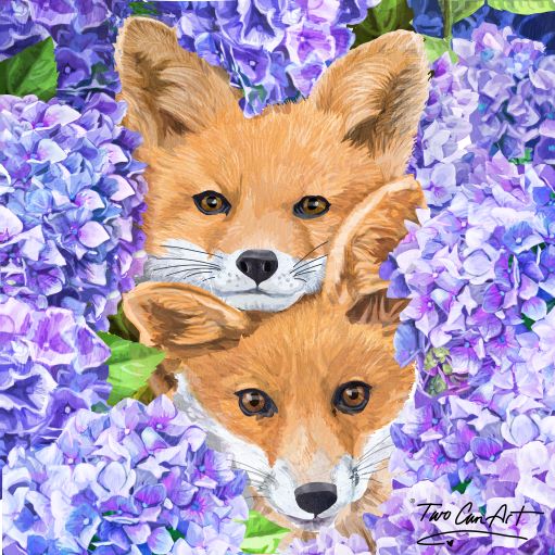 Foxes in Hydrangeas