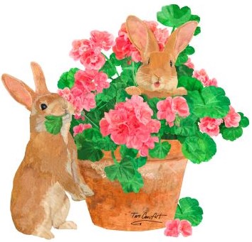 Geraniums Bunnies