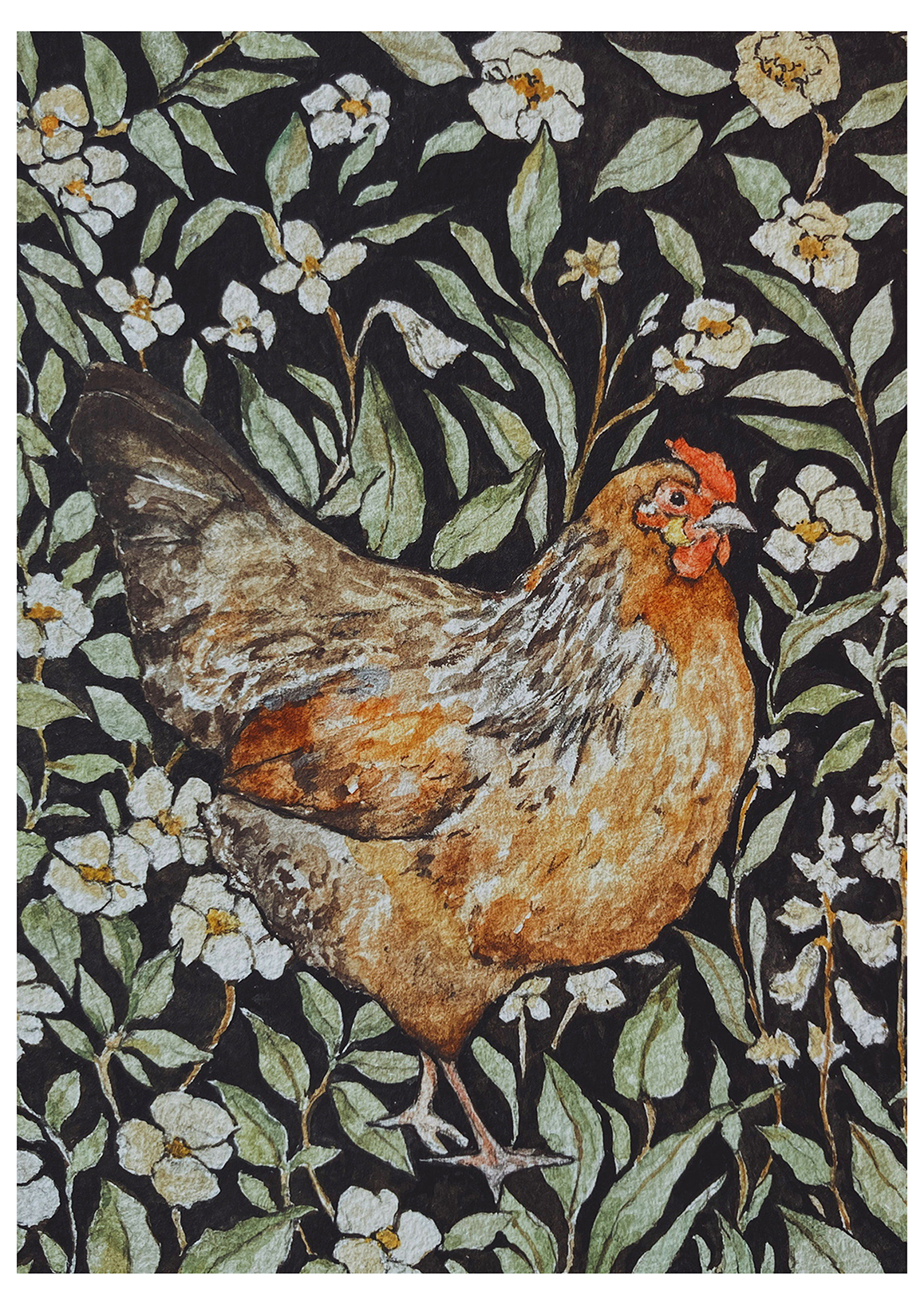 Hen