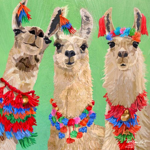 Drama Llamas